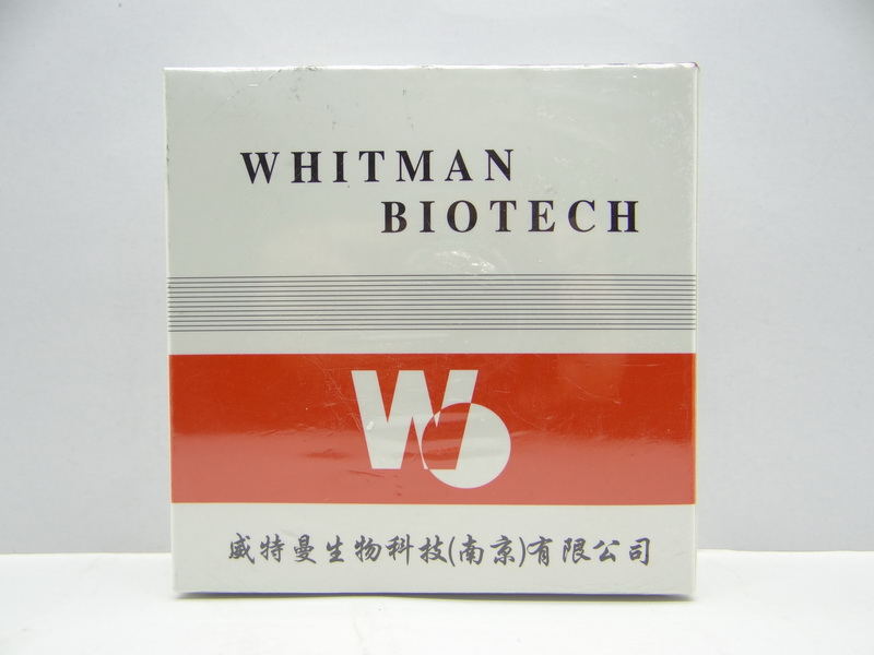 尿微量白蛋白臨床意義