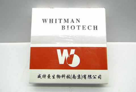 尿微量白蛋白臨床意義
